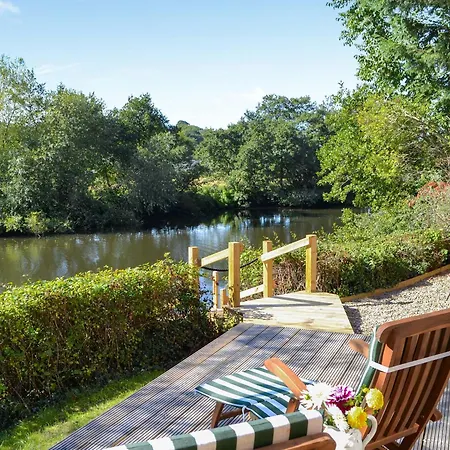 Clematis - Uk50451 *