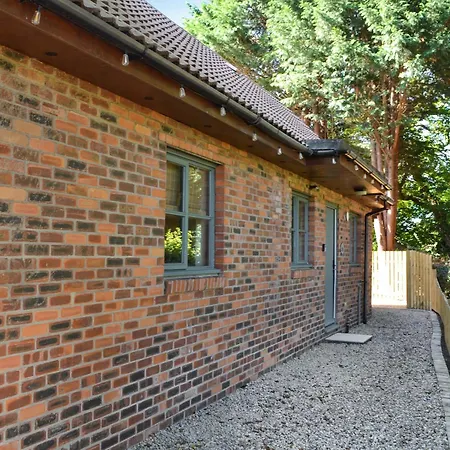 Clematis - Uk50451 *