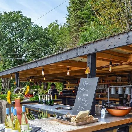 Clematis - Uk50451 * Ruswarp