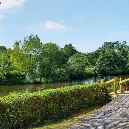 Clematis - Uk50451 * Ruswarp