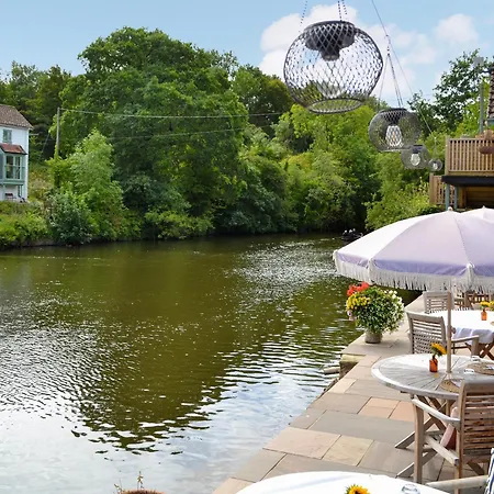 Clematis - Uk50451 *